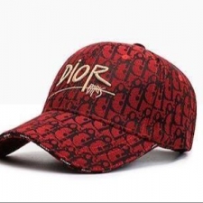 Best Price Dior Unisex Caps